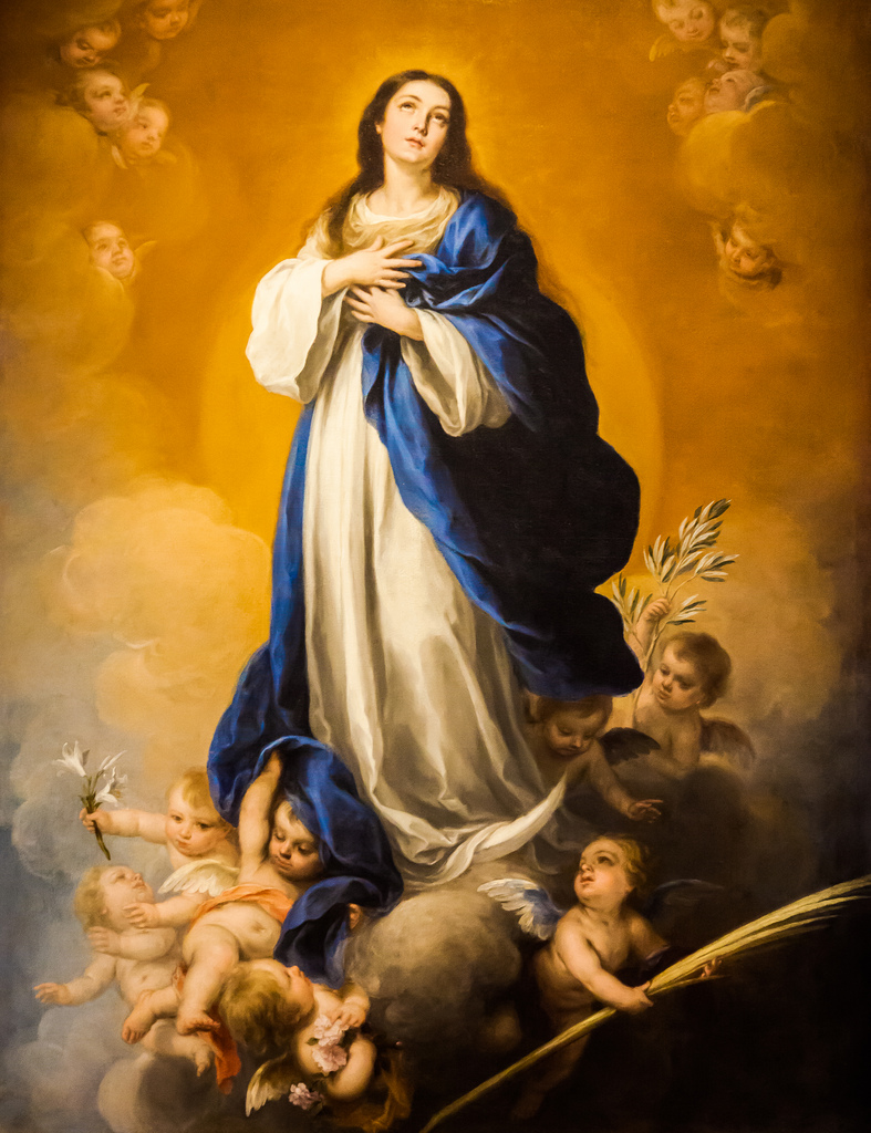 Feast Of The Immaculate Conception December St Alphonsa